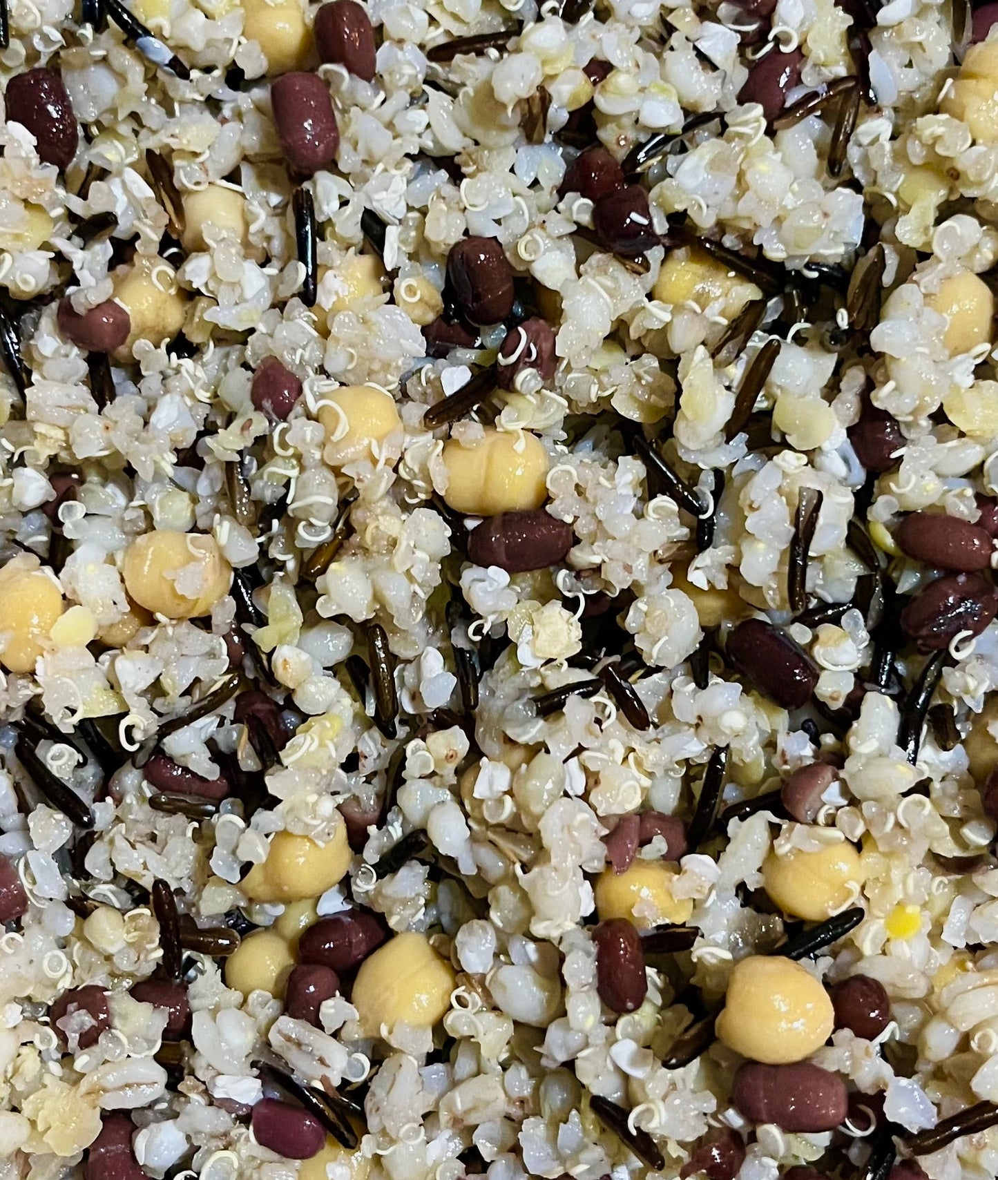 LARGE BEAKS Freeze Dried Cooked Organic Chop Mix-In