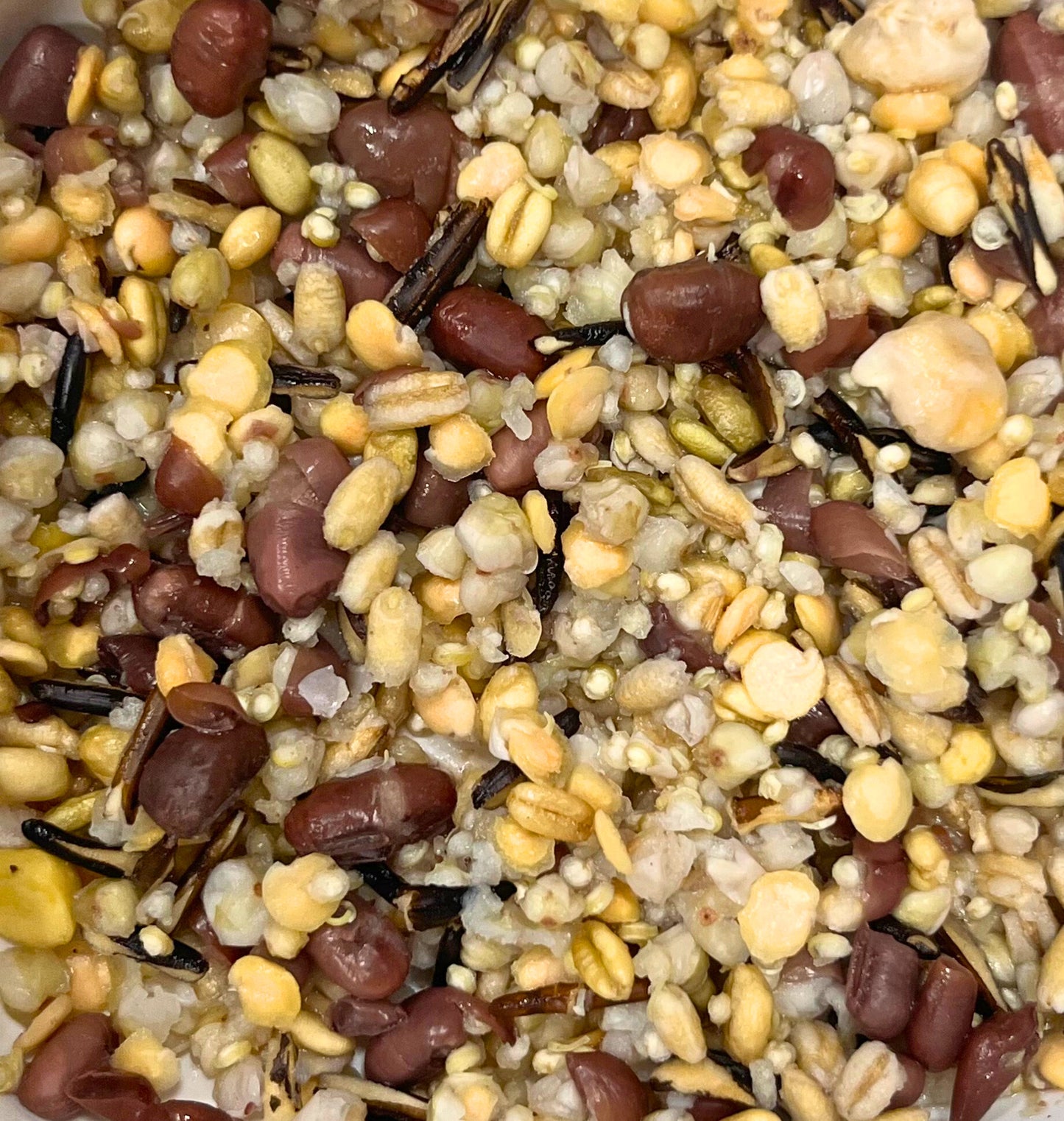 LARGE BEAKS Freeze Dried Cooked Organic Chop Mix-In