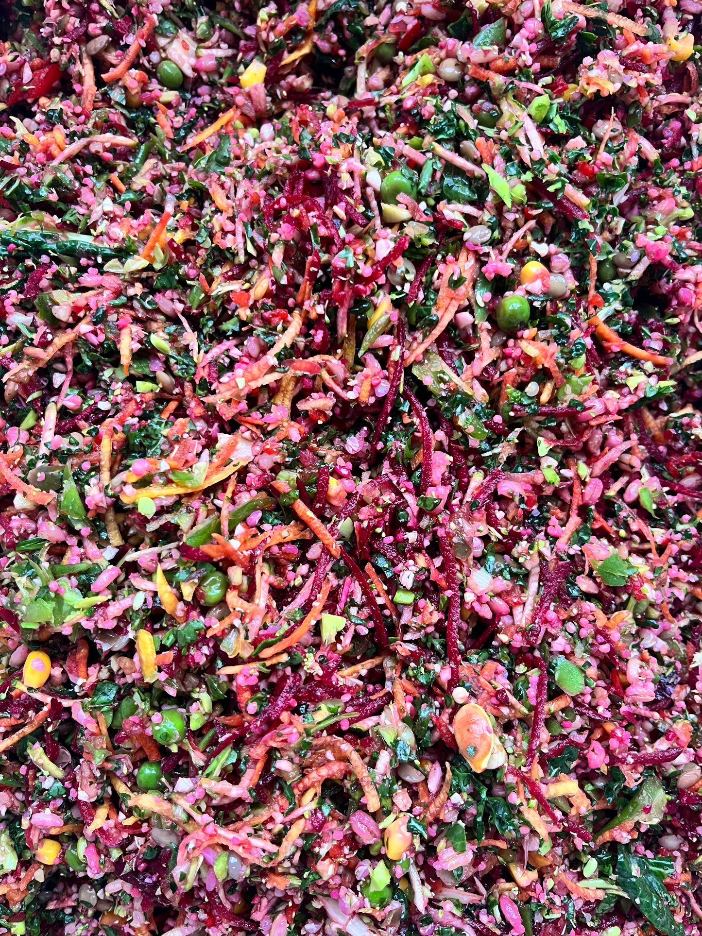 SEASONAL VEGETABLE Freeze Dried Bird Chop