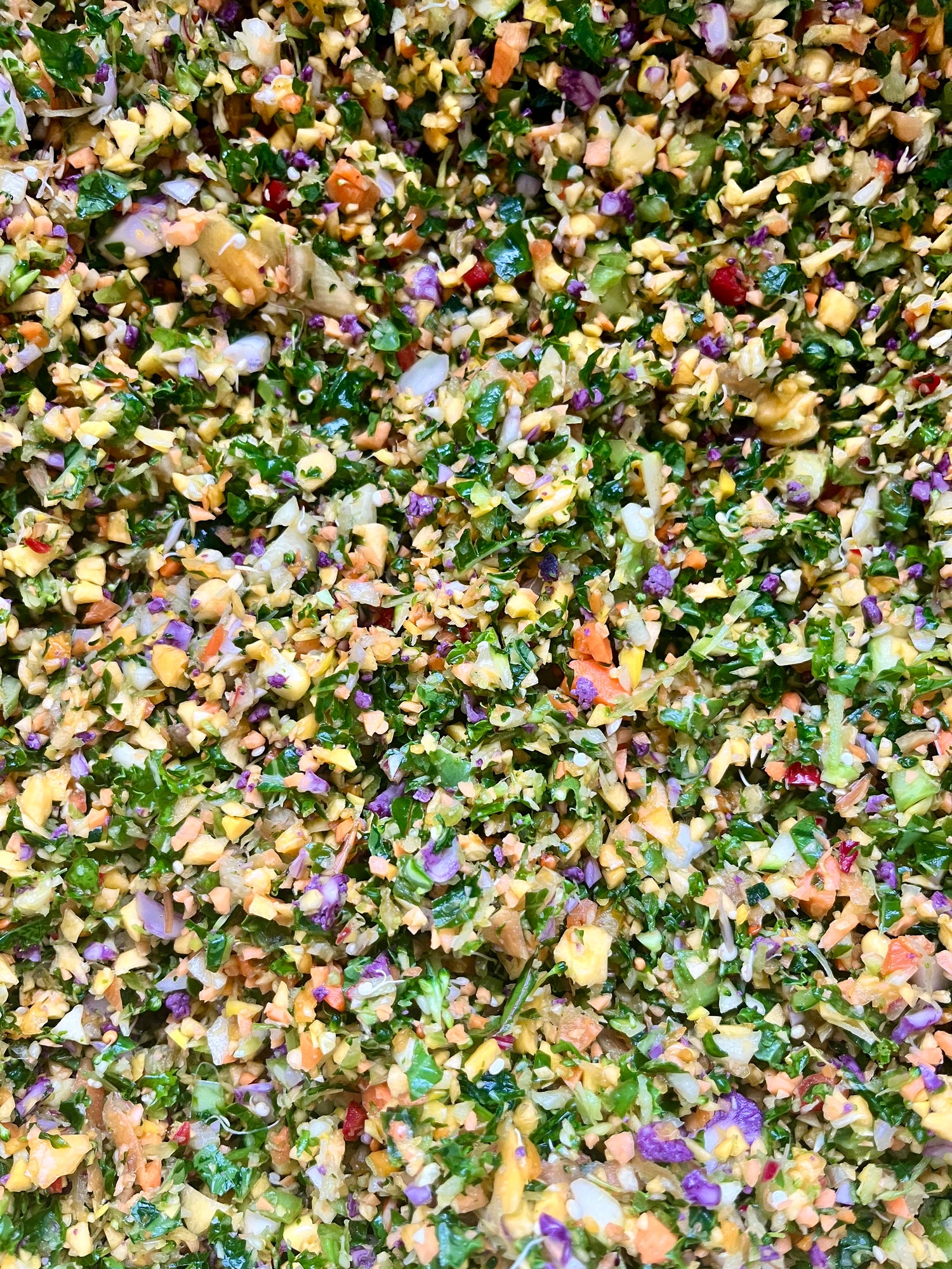 Freeze Dried Chop