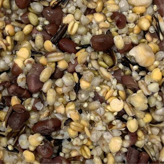 LARGE BEAKS Freeze Dried Cooked Organic Chop Mix-In