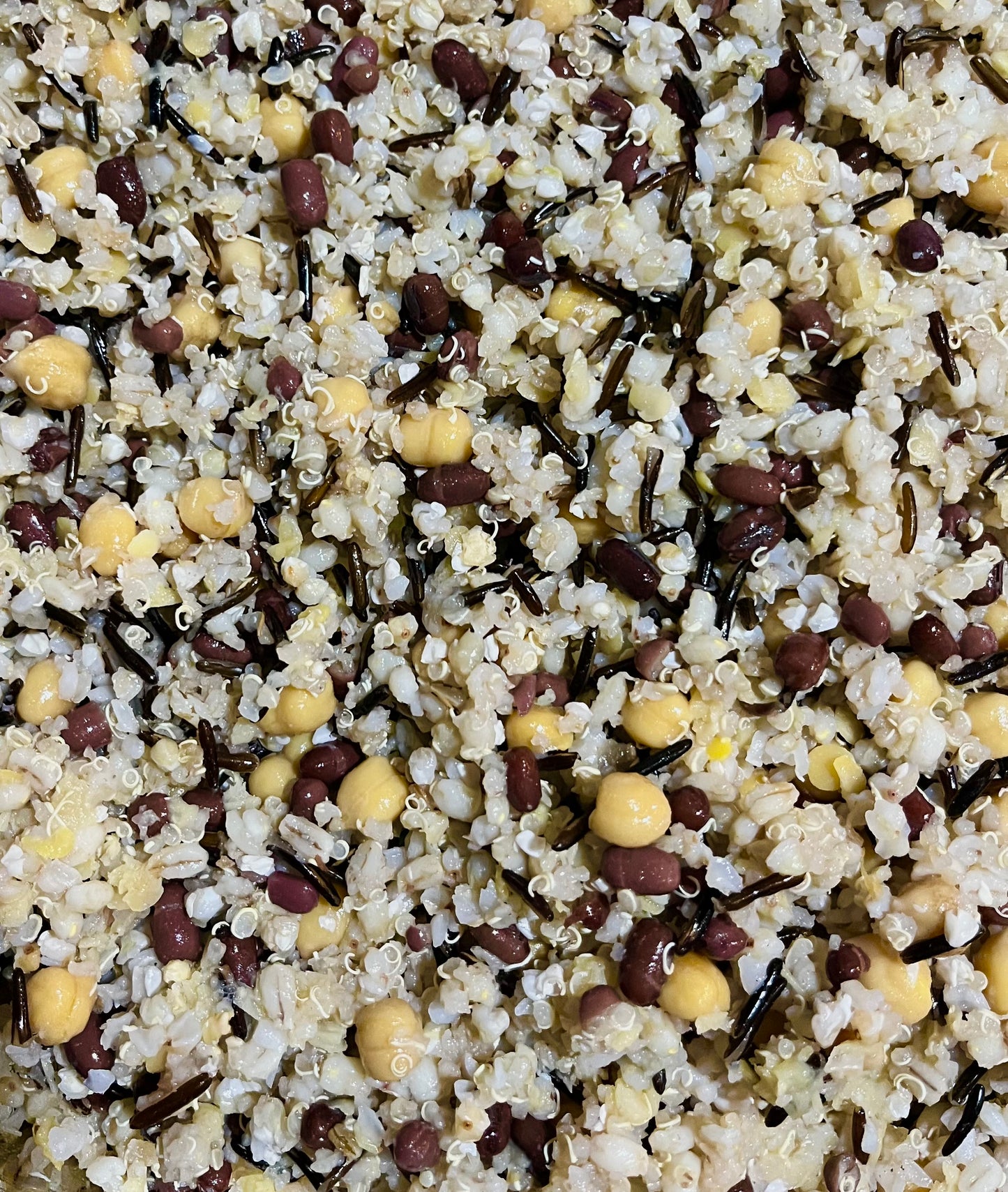 LARGE BEAKS Freeze Dried Cooked Organic Chop Mix-In