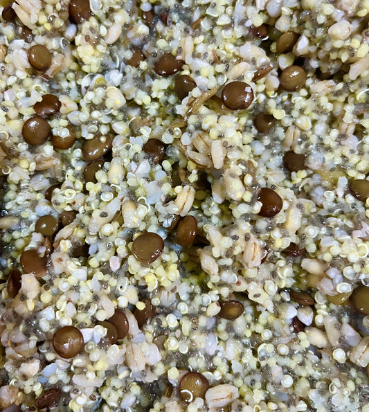 SMALL BEAKS Freeze Dried Cooked Organic Chop Mix-In