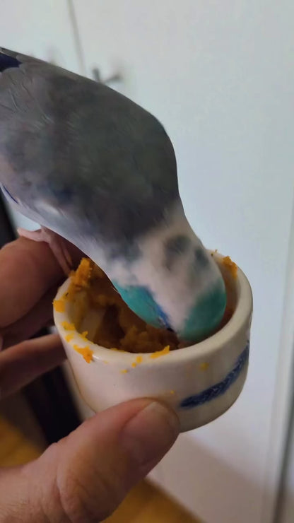 SWEET BEAKS Freeze Dried Mash