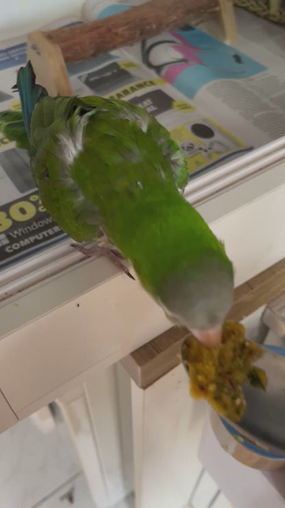 SWEET BEAKS Freeze Dried Mash