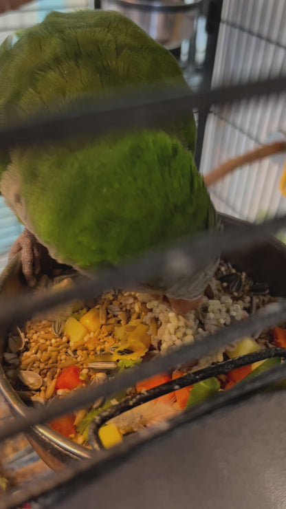 SMALL BEAKS Freeze Dried Cooked Organic Chop Mix-In