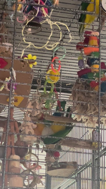 Silly Teacups Bird Toy